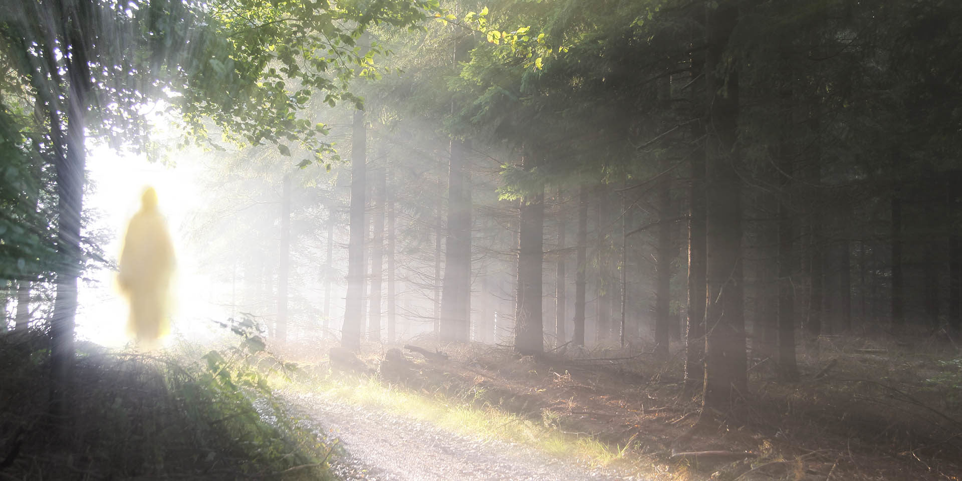 Jesus Christ walking after His resurrection. Figure in sun lights. Sunning shine in forest.